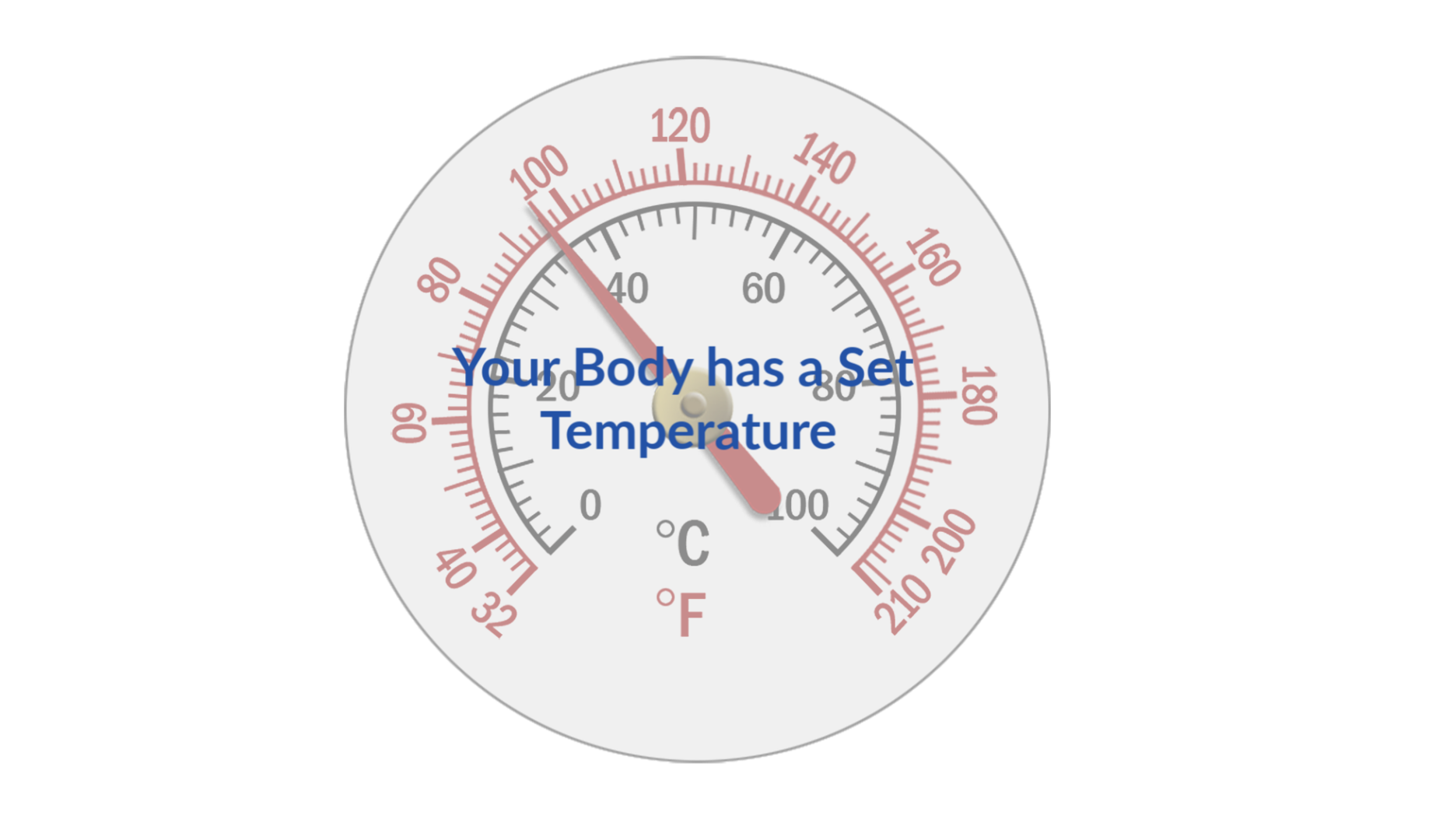 Body Weight Set Temperature