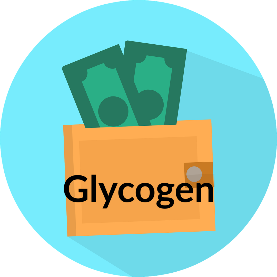 Wallet and Glycogen