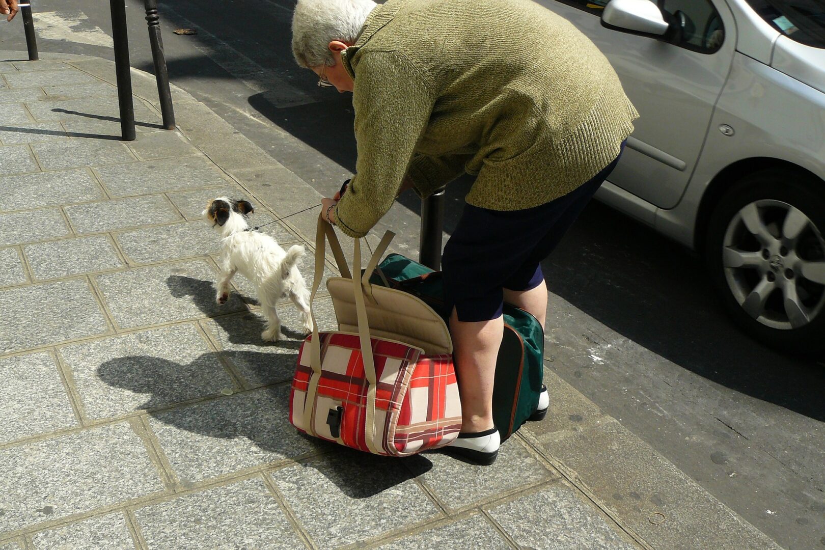 Older woman stooped over picking up bags with a small dog